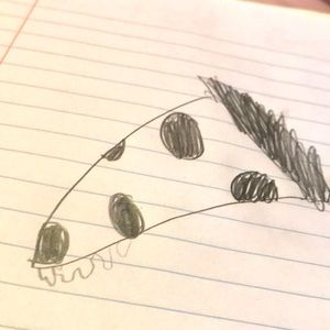 I will draw what you comment (probably bad)